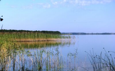 Išgelbėti Platelių ežere su jachta apsivertę žmonės